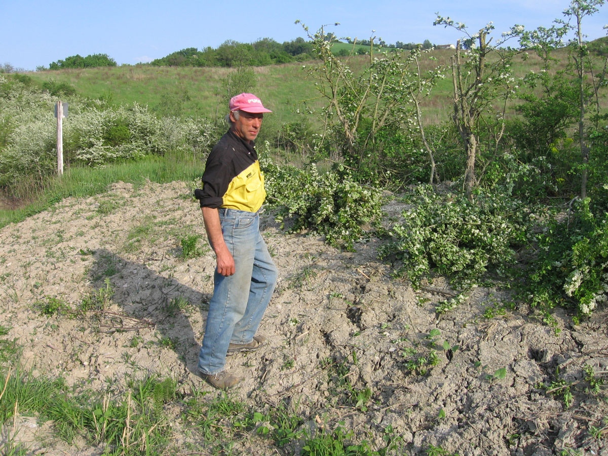 Migliore operaio di sempre!