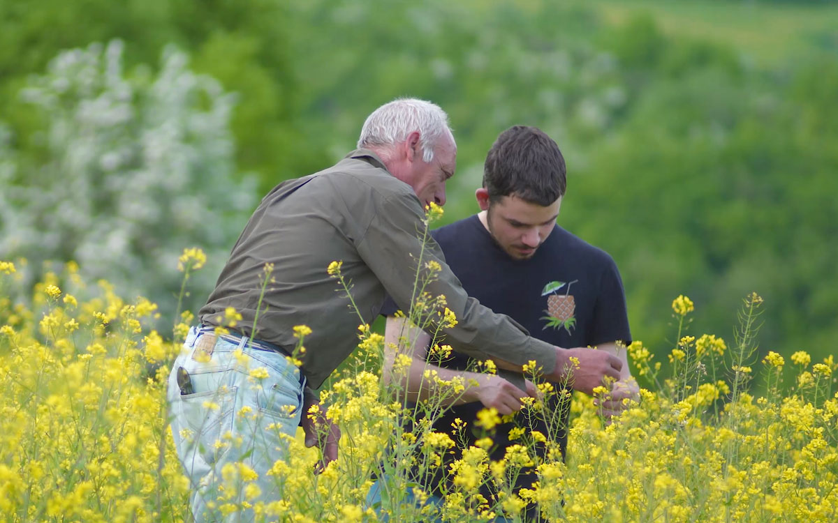 Controllo qualità!!